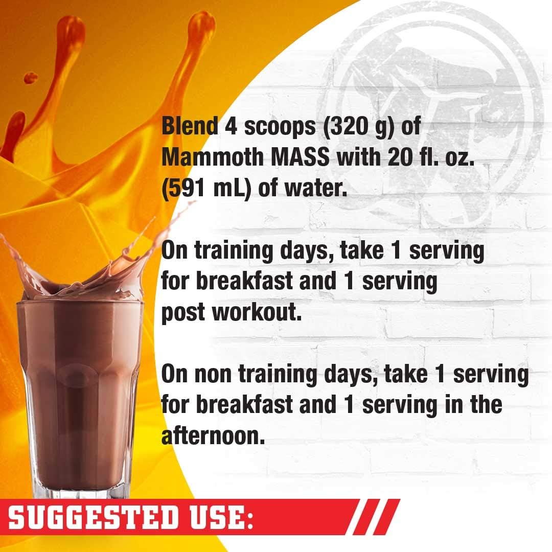 MAMMOTH Mass Gainer - Chocolate - 21 Servings