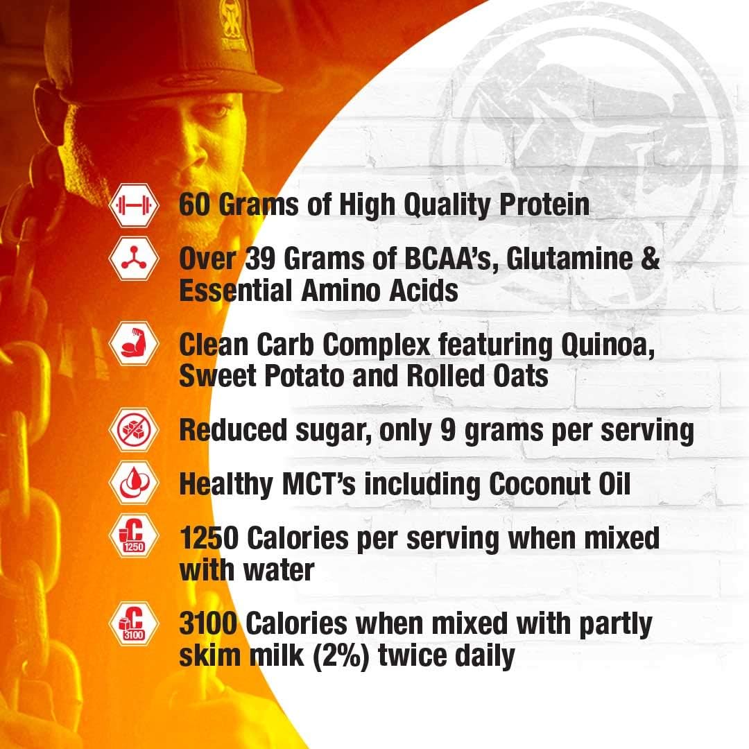 MAMMOTH Mass Gainer - Chocolate - 21 Servings